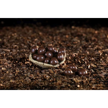 Fekete áfonya fűszeres étcsokoládéban (100-500gramm)