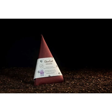 Piemonti mogyoró étcsokoládéval díszcsomagolásban