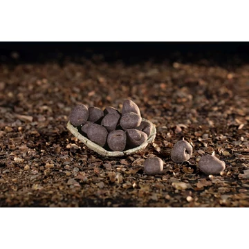 Aszalt gyömbér étcsokoládéval 100g