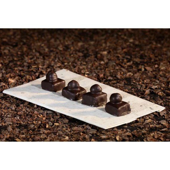 Ropogós mogyoró praliné