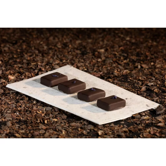 Feketeribizli és ibolya