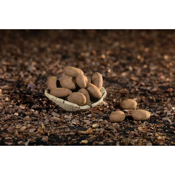 Avolai mandula étcsokoládéval 100-500gramm